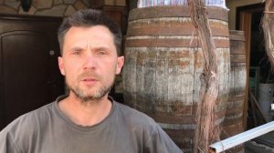 Мильдью. Оидиум. Обработка винограда весной.