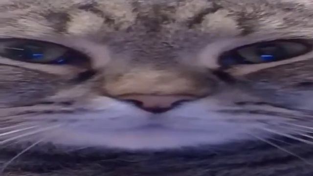 Я после горохового супа смотреть онлайн