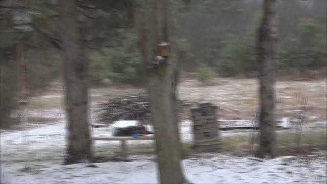 Влог/Vlog 2 - Наши будни -ПОЧЕМУ НЕТ ЗАБОРОВ, Наша территория - многодетная семья Савченко смотреть онлайн