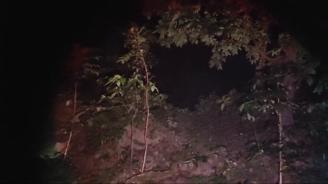 Live mystery‼️Sawala Ghost Figure Grandma Shepherd B4bi Forest смотреть онлайн