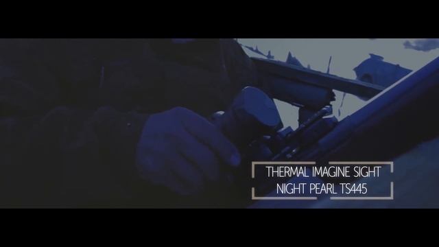Night Pearl | ShootingBulls | Video Production смотреть онлайн