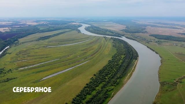 Горьковский район: уникальные памятники природы смотреть онлайн