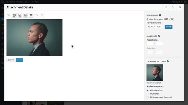 WordPress Image Editing: How to Crop, Scale, Rotate, Flip, Resize & Restore Images смотреть онлайн