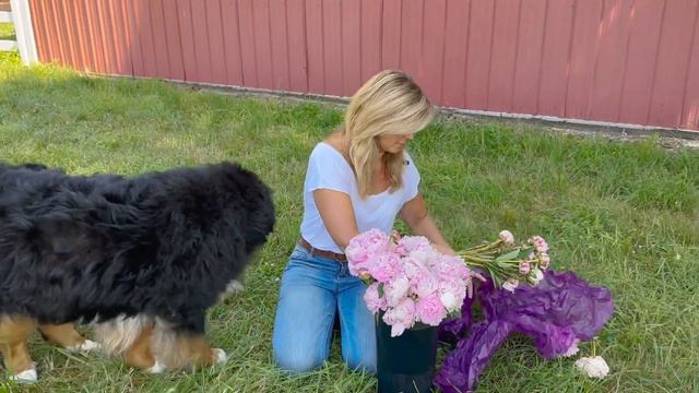 Secrets Revealed: Unlock Longer Lasting Peony Blooms with Kelly Lehman's Expert Tips! смотреть онлайн