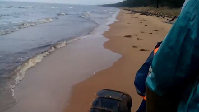 Каракат на пляже смотреть онлайн