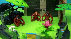 Huge Playmobil Animal Zoo Building Sets - Fun Animals Toys For Kids