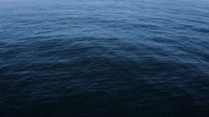 Море, ты слышишь море. Исп. Даниил Кузема