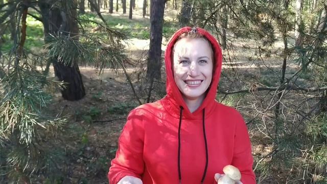 Собираем грибы в Куцеволовском лесу, практически как в родном Лимане. смотреть онлайн