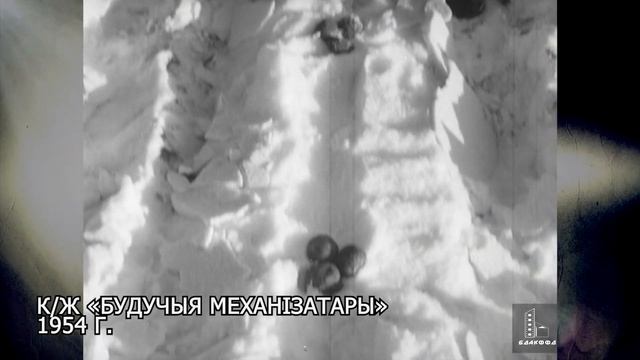 Весенний зов полей | Сбор урожая в БССР | Советские аграрии | Архивные кадры. В открытом доступе смотреть онлайн