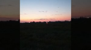 3 пары pride solo 300