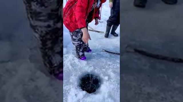 вот как надо ловить щуку зимой смотреть онлайн