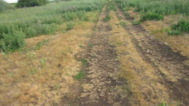 ЧТО ТВОРИТСЯ НА ГРИБАНОВА??? РЕКА ИШИМ. #рыбалка #казахстан #астана #чтотворится #ишим