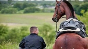 40 тысяч верст