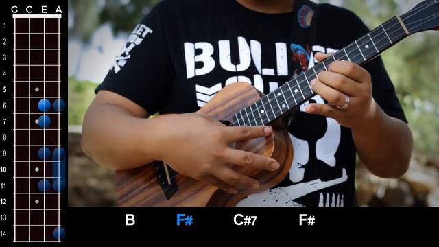 "Your Man" (Josh Turner) Ukulele Play Along! смотреть онлайн