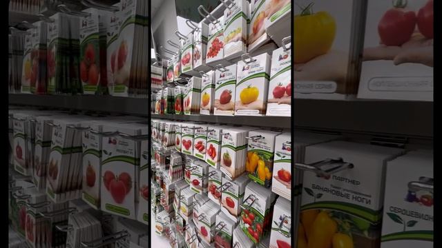 Великолепная семерка томатов для открытого грунта | #SemenaPartnerShorts смотреть онлайн