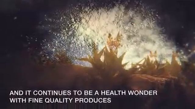 FOREVER ALOE TURM LOZENGES FOR IMMUNE BOOST- -9966974676 смотреть онлайн