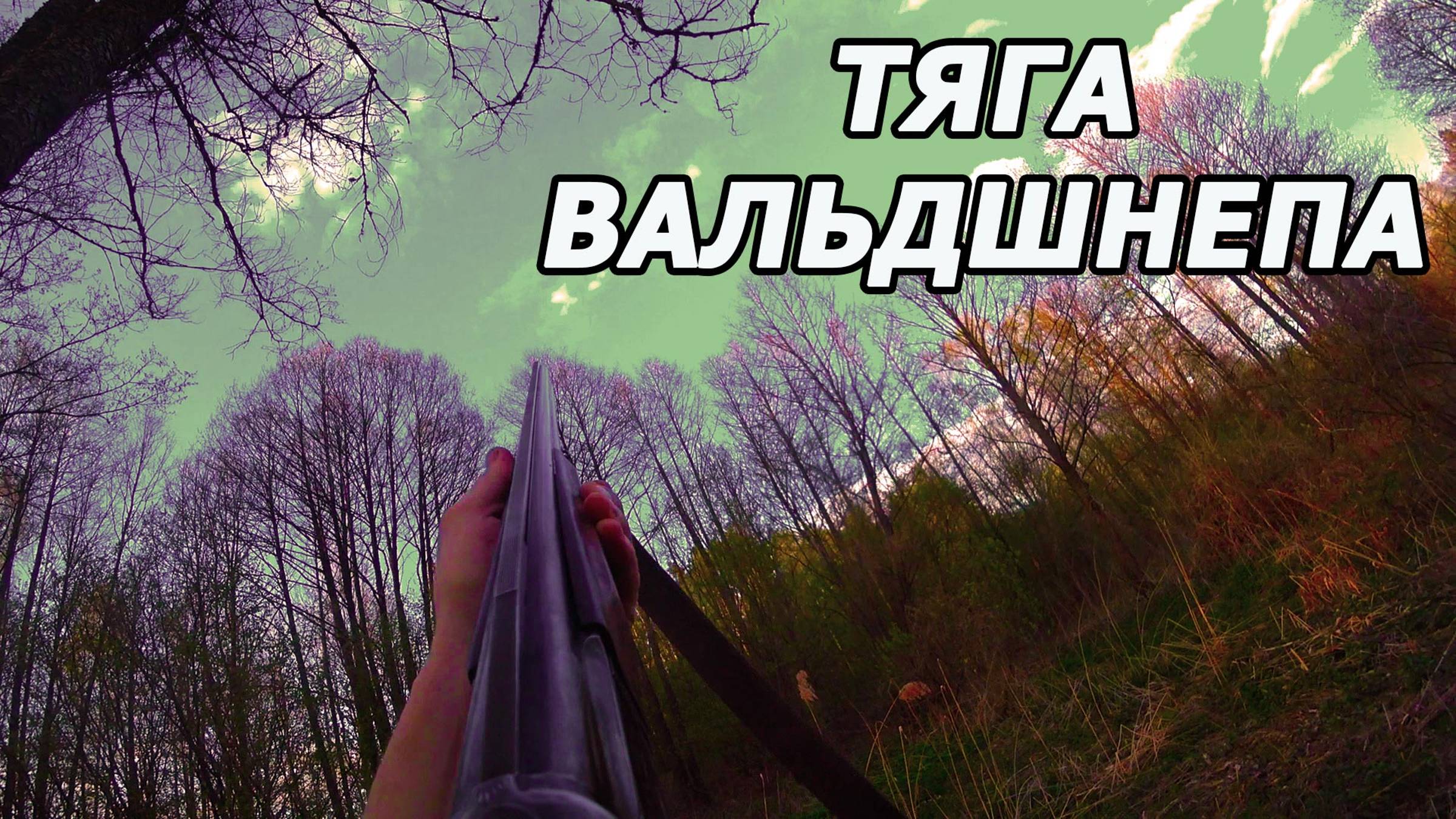 Открытие охоты на ВАЛЬДШНЕПА 2023 смотреть онлайн