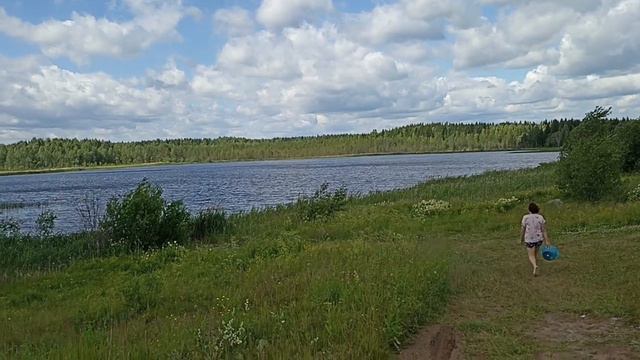 Идём на озеро. Красивые виды Архангельской области смотреть онлайн
