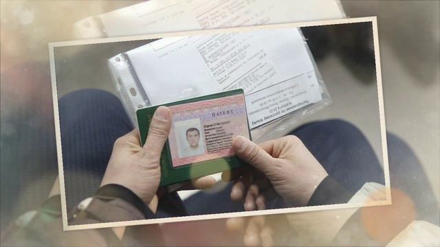 Куда пойти: необычные места собакой