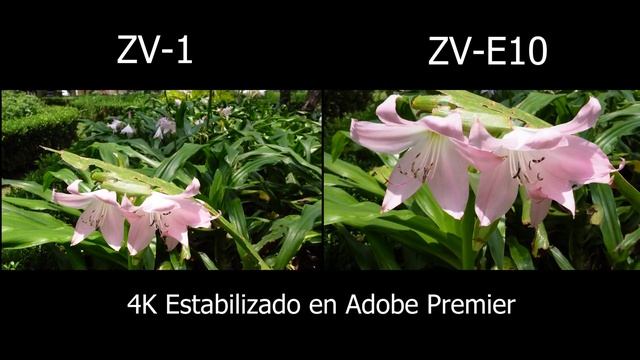 Sony ZV 1 vs ZV E10 ¿Cuál elegir? ¿La mejor cámara para Vlogging? #sonyzv1 #sonyzve10 #vlooging смотреть онлайн