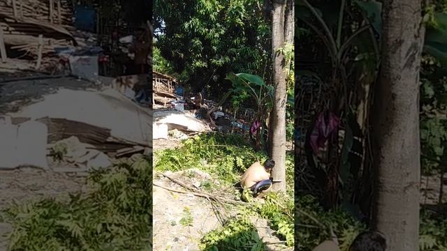 Gergaji gerinda (bosch & ryu tekiro)