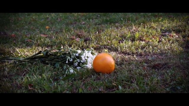 Апельсинные цветы - Зинаида Гиппиус смотреть онлайн