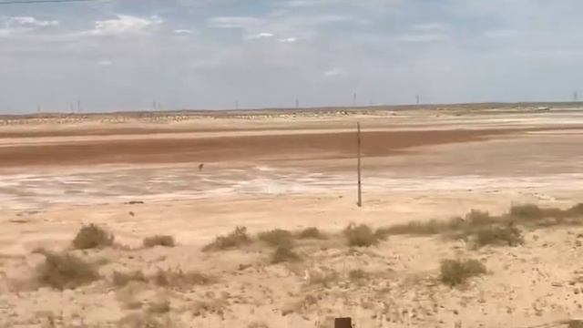 Казахстанская степь в июле...