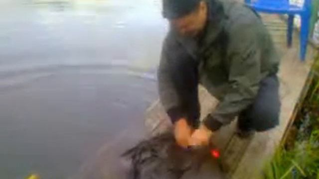 для нас рыбалка-чисто спорт!!!! смотреть онлайн