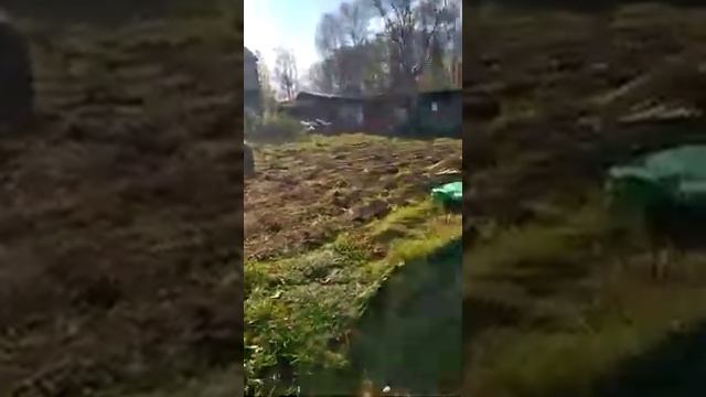 Муравей с двигателем от мотоблока"Honda смотреть онлайн