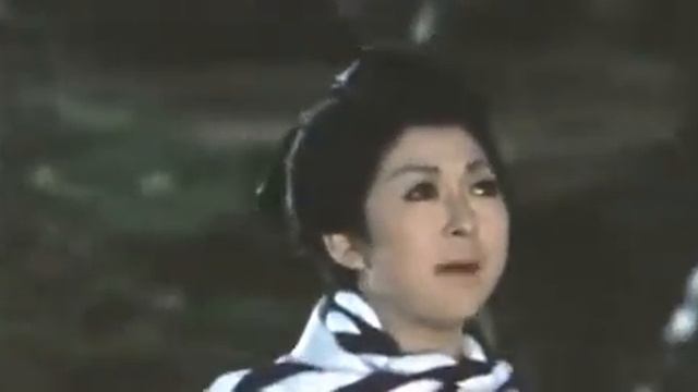 Боец стиля свастики