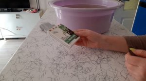 Замачивание саженцев роз перед посадкой в грунт ???