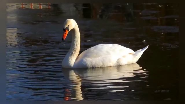 КАК ЗАГОВАРИВАТЬ НА ВОДУ смотреть онлайн