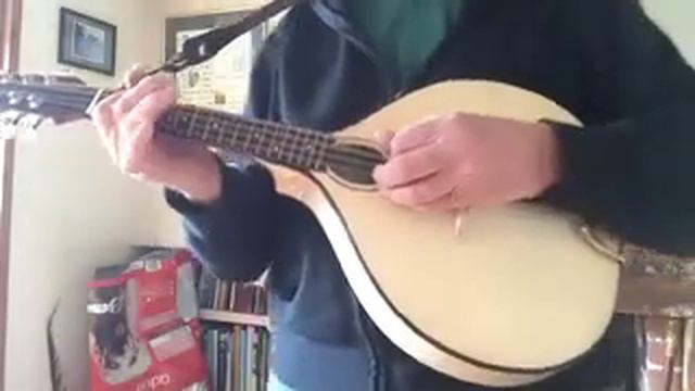 NK Forster mandolin. Mary, Young and Fair + a couple of jigs. смотреть онлайн