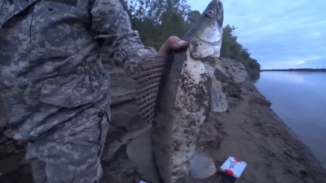 ОБРЫВЫ,СХОДЫ,МОЩНЫЕ ПОКЛЁВКИ | Ловим на РЕЗИНКУ СУДАКА и ЩУКУ | Рыбалка на РЕЗИНКУ в ИЮНЕ смотреть онлайн