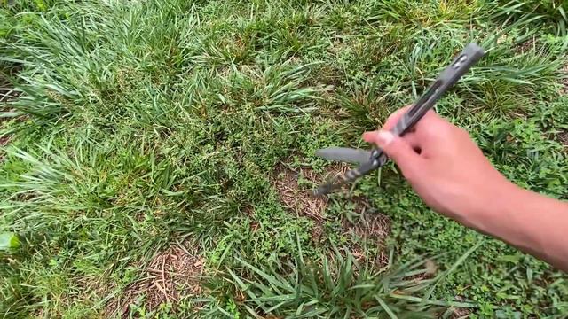 BRS ALT Alpha Beast 3.0 First Impressions смотреть онлайн