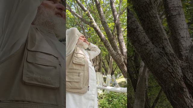 В горах Чечении. Ялхарой мохк. Джаьнча. обеденный азан. смотреть онлайн