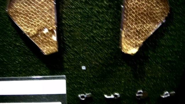 Золотая коллекция Одесского Археологического музея. Золото скифов, сармат, антов, Киевской Руси.... смотреть онлайн