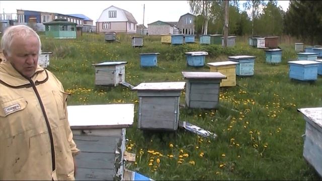 ЧТО ДЕЛАТЬ ЧТОБЫ ПЧЁЛЫ НЕ РОИЛИСЬ. смотреть онлайн