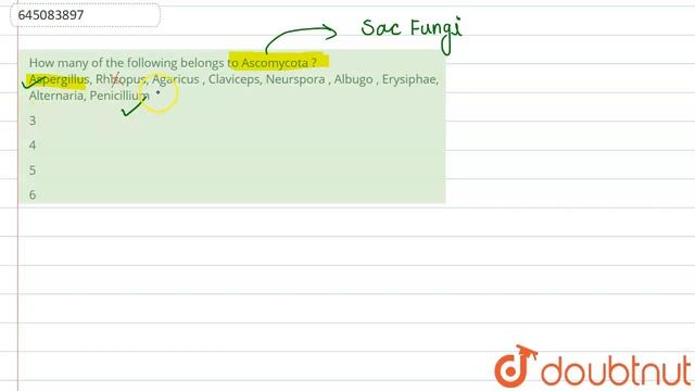 How many of the following belongs to Ascomycota ? Aspergillus, Rhizopus, Agaricus , Claviceps, N... смотреть онлайн