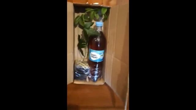 Обратная связь. смотреть онлайн