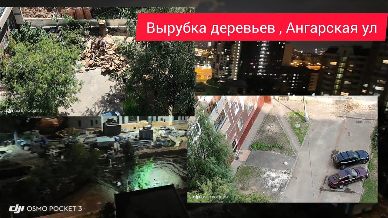 Стройка переместилась во двор, пилят асфальт, валят деревья, Западное Дегунино