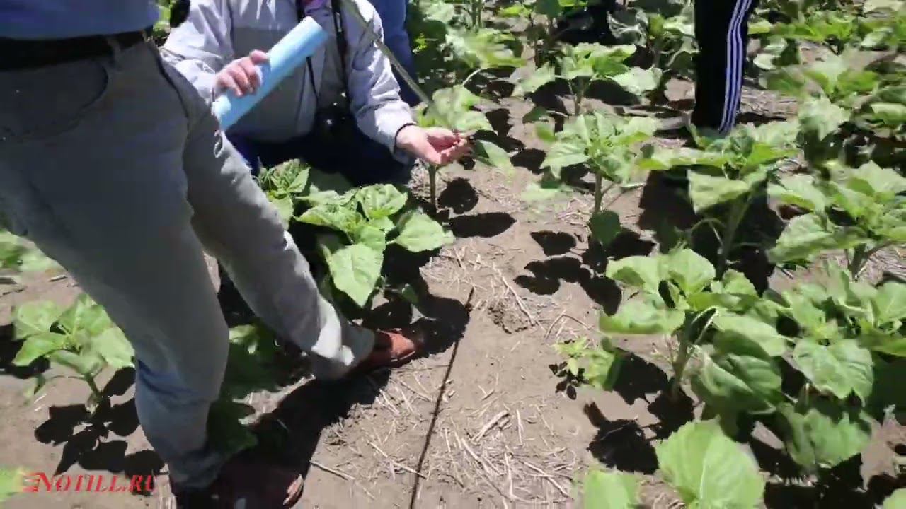 Уплотнение Почвы в NOTILL смотреть онлайн