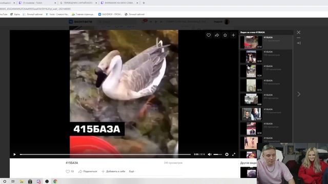Стрим modestal 04.04.2021 разговорный стрим, видосы, 415, топлес смотреть онлайн