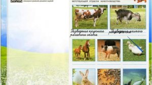Задание 2 Животноводство в нашем крае - Окружающий мир 4 класс (Плешаков А.А.) 1 часть