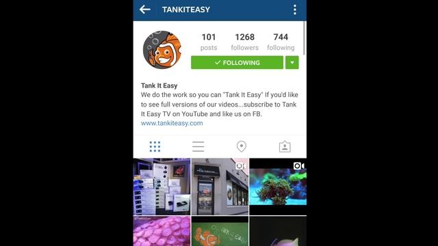 Tank It Easy - Custom Tanks and Retail LFS in Chicago! смотреть онлайн