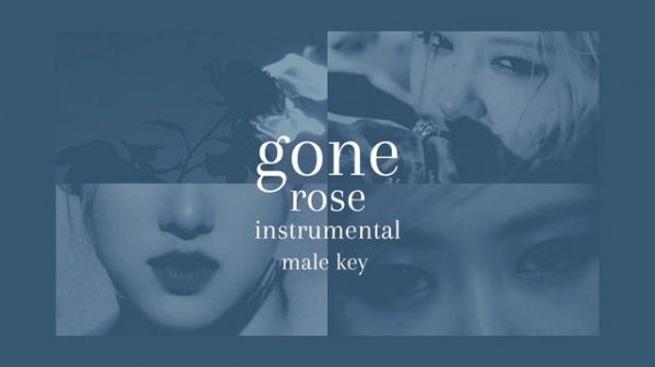 gone - rose 로제 blackpink 블랙핑크 (male key) instrumental karaoke
