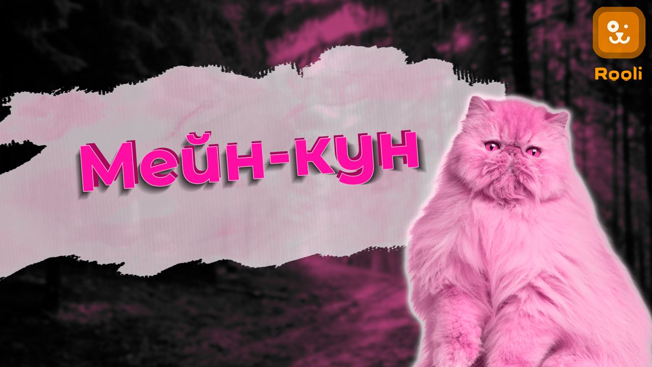 Мейн-кун в мировых рекордах: Удивительные факты смотреть онлайн