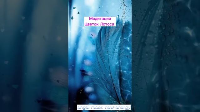 Медитация Лотос смотреть онлайн