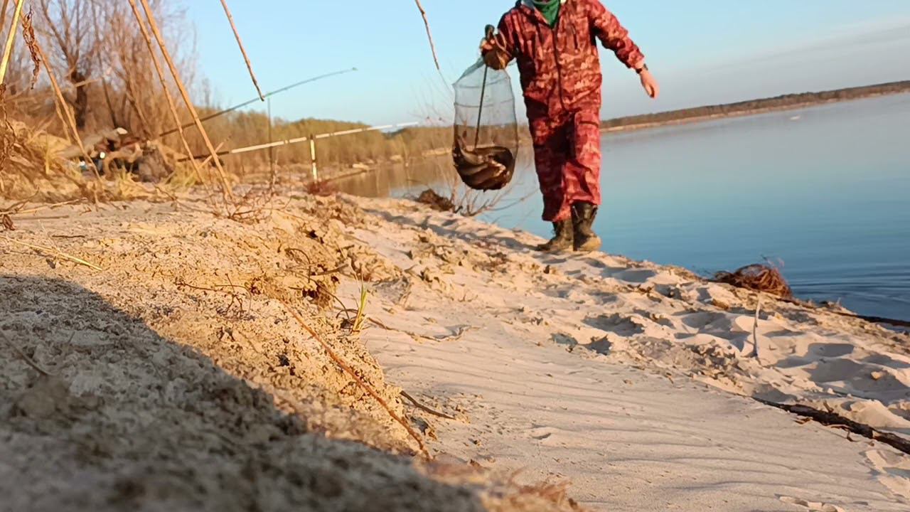 Язь на донки. Сегодня в приоритете ароматизатор - Корвалол. смотреть онлайн
