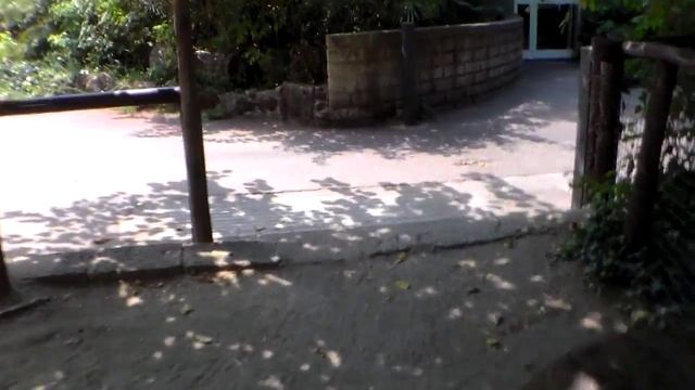 Зоопарк Рима. Часть 9 смотреть онлайн